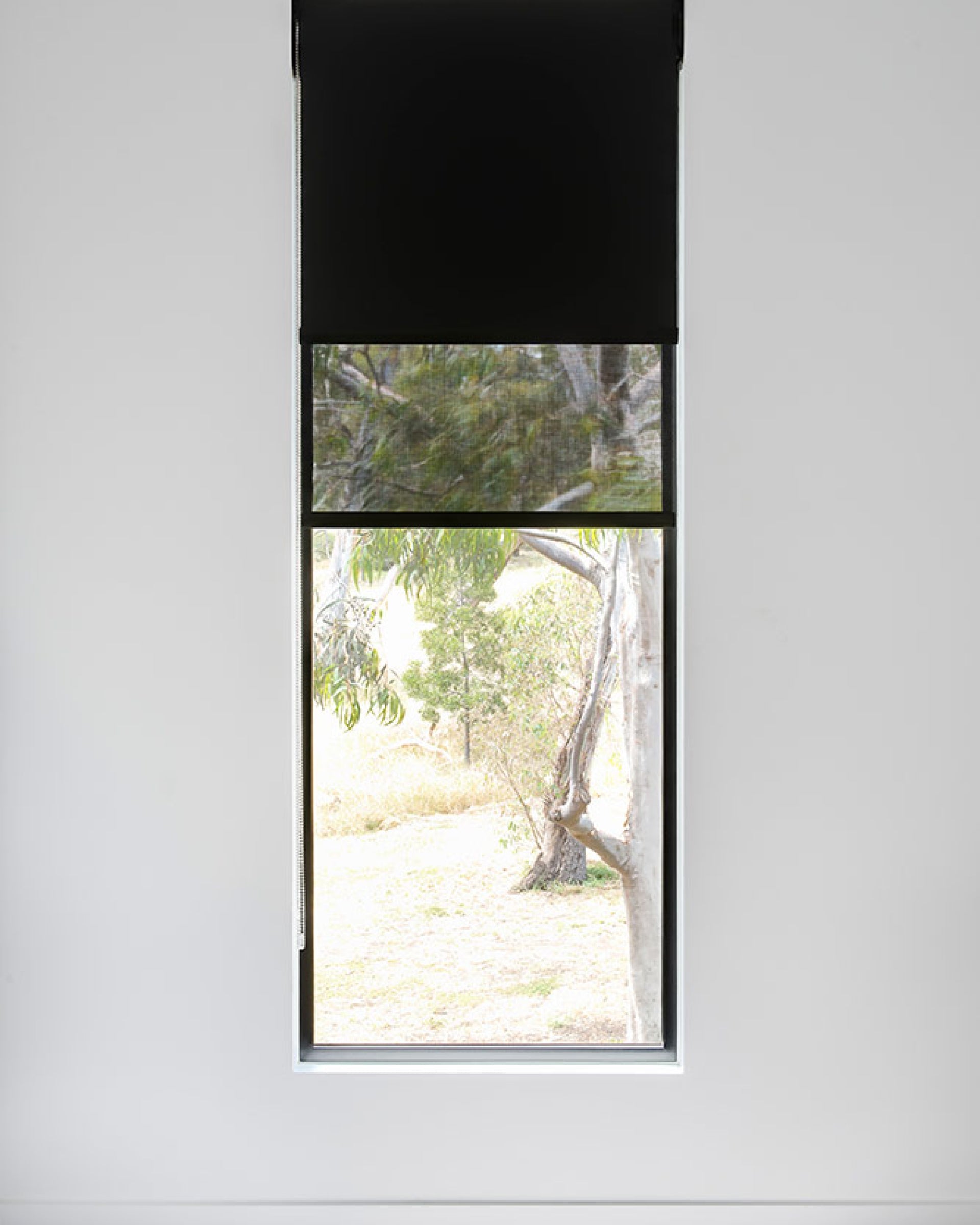 Saga, Black Dual Layer Sunscreen + Roller Blinds