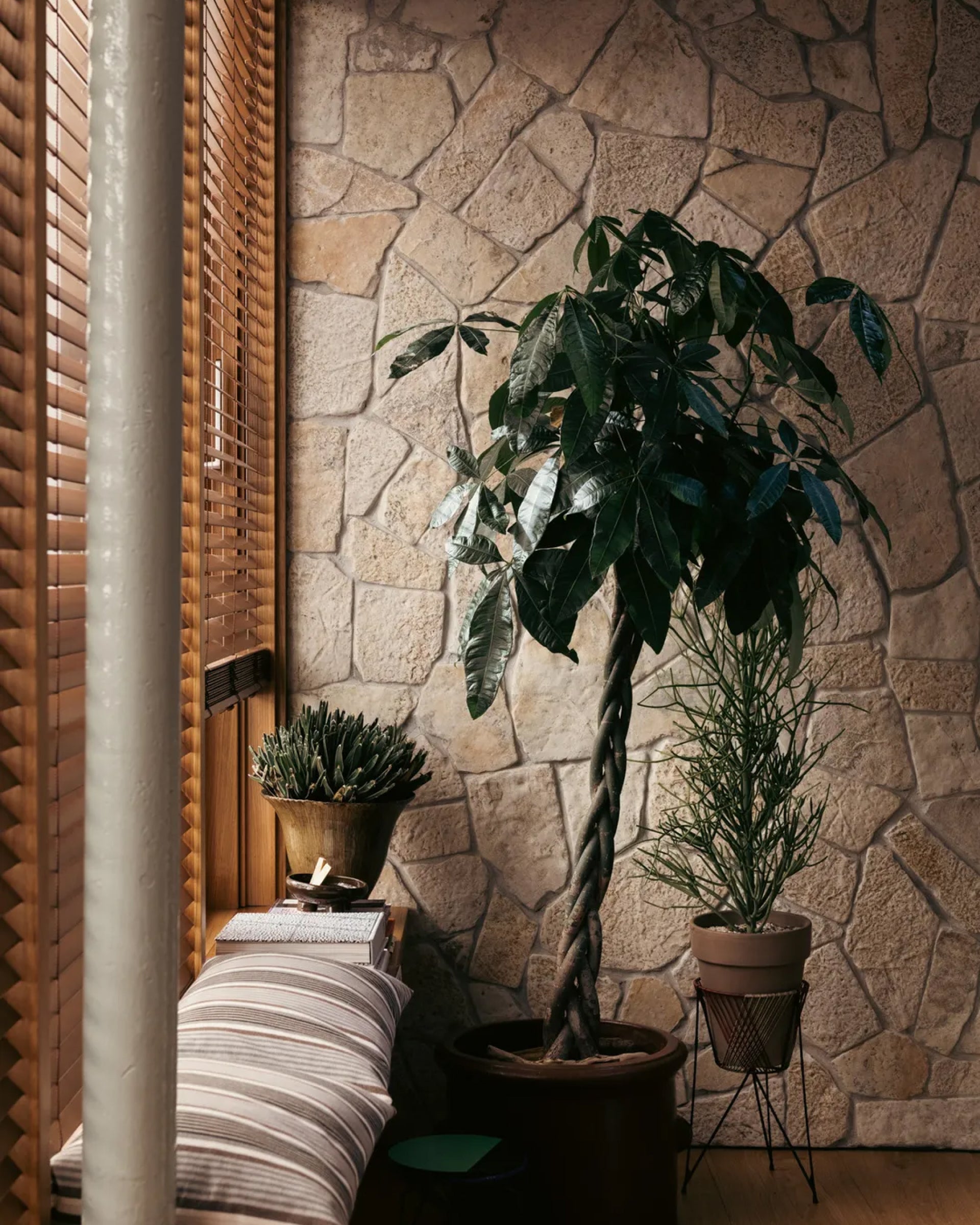 Core, 50 MM Walnut Timber Blinds